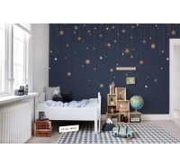 Фотообои Rebel Walls - Stargazing - R14571 