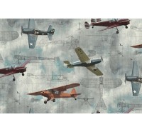 Фотообои Rebel Walls - Aero Show - R15211 