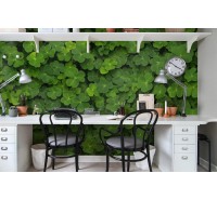 Фотообои Rebel Walls - Clover - R15841 