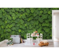 Фотообои Rebel Walls - Clover - R15841 