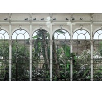ФотоОбои Rebel Walls - Dove Gardens - R16261 ФотоОбои Rebel Walls - Dove Gardens - R16261