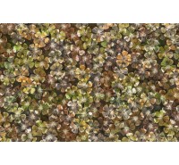 Фотообои Rebel Walls - Big Bloom, amber - R12682 Фотообои Rebel Walls - Big Bloom, amber - R12682