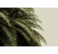 Фотообои Rebel Walls - Leaf Love-  R14001