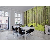 Фотообои Rebel Walls - Deciduous Forest- R10101