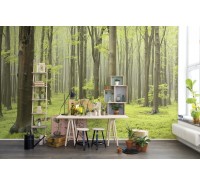 Фотообои Rebel Walls - Deciduous Forest- R10101