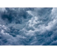 Фотообои Rebel Walls - Cumulus - R11711 Фотообои Rebel Walls - Cumulus - R11711