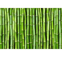 Фотообои Rebel Walls - Bamboo - R11821 Фотообои Rebel Walls - Bamboo - R11821