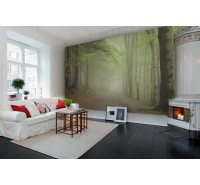 Фотообои Rebel Walls - Forest Path -  R12471