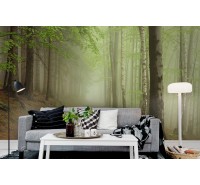 Фотообои Rebel Walls - Forest Path -  R12471