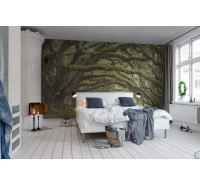 Фотообои Rebel Walls - Fairy Forest - R12481 Фотообои Rebel Walls - Fairy Forest - R12481