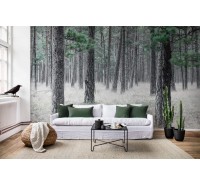 Фотообои Rebel Walls - Pine Forest - R13711 