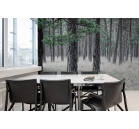 Фотообои Rebel Walls - Pine Forest - R13711 