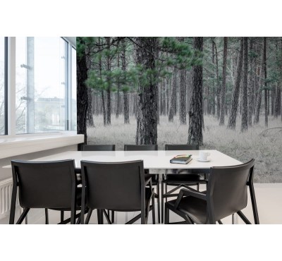 Фотообои Rebel Walls - Pine Forest - R13711 