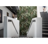 Фотообои Rebel Walls - Mischievous Monkeys, Lush -  R14592