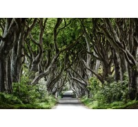Фотообои Rebel Walls - Magical Alley - R15251