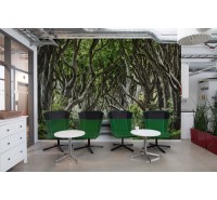 Фотообои Rebel Walls - Magical Alley - R15251