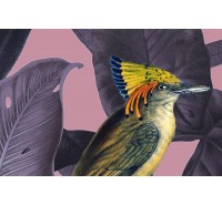 Фотообои Rebel Walls - Yellow Bird, Dusk - R15732 