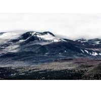Фотообои Rebel Walls - The North - R16371 Фотообои Rebel Walls - The North - R16371
