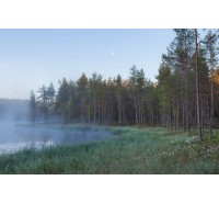 Фотообои Rebel Walls - Forest Lake - R16421 