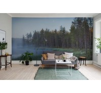 Фотообои Rebel Walls - Forest Lake - R16421 