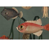 Фотообои Rebel Walls - Aquatic Life, Oxygen - R17141 Фотообои Rebel Walls - Aquatic Life, Oxygen - R17141