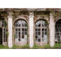 ФотоОбои Rebel Walls - Ruin Romance - R16031 ФотоОбои Rebel Walls - Ruin Romance - R16031