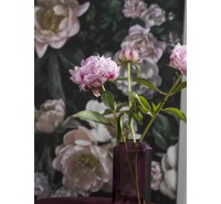 Обои Borastapeter - New Dawn Rose - IN BLOOM 7234 Обои Borastapeter - New Dawn Rose - IN BLOOM 7234