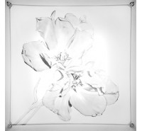 Потолочный светильник B.lux - Veroca Print Потолочный светильник B.lux - Veroca Print