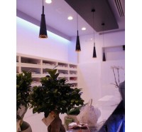 Светильник Euroluce Julienne Black_Gold Suspension Светильник Euroluce Julienne Black_Gold Suspension