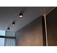 Потолочный светильник Flos - Wan Cw F9550009 Потолочный светильник Flos - Wan Cw F9550009