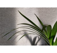 Текстильные обои Giardini Great Dandy - Gioia Grande Текстильные обои Giardini Great Dandy - Gioia Grande