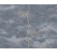 Обои флизелиновые Mayflower Wallpaper - Lightning FJ000208 Обои флизелиновые Mayflower Wallpaper - Lightning FJ000208